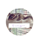 しまさん♡（個別スタンプ：11）