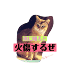あずき社長警備会社（個別スタンプ：3）