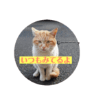 あずき社長警備会社（個別スタンプ：11）