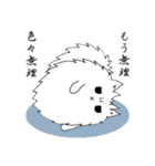 ポメラニアンのカイ（個別スタンプ：33）