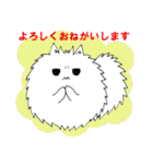 ポメラニアンのカイ（個別スタンプ：36）