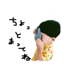 さくダヨー（個別スタンプ：33）