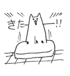 モチヌコ（個別スタンプ：16）