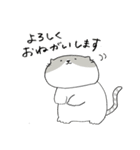 のっぺりしたネコ（個別スタンプ：34）