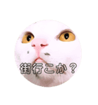 めろの熊本弁（個別スタンプ：8）