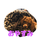 スーパーたいちくん（個別スタンプ：1）
