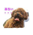 スーパーたいちくん（個別スタンプ：4）