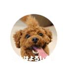 スーパーたいちくん（個別スタンプ：8）