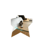 おつかれサマー（個別スタンプ：7）