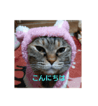ニャロメ通信1（個別スタンプ：3）