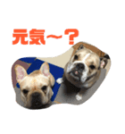 ゆきちとぐんた（個別スタンプ：1）