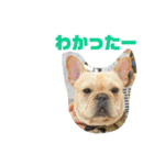 ゆきちとぐんた（個別スタンプ：5）