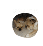 ゆきちとぐんた（個別スタンプ：7）
