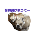ゆきちとぐんた（個別スタンプ：13）