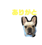 ゆきちとぐんた（個別スタンプ：14）