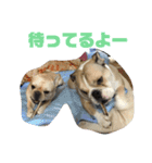 ゆきちとぐんた（個別スタンプ：16）