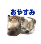ゆきちとぐんた（個別スタンプ：22）