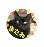 ラブりんスタ（個別スタンプ：23）