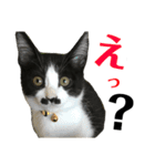 僕、社長（個別スタンプ：1）