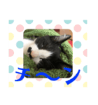 僕、社長（個別スタンプ：2）