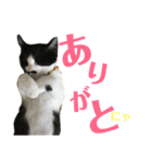 僕、社長（個別スタンプ：7）