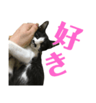 僕、社長（個別スタンプ：8）