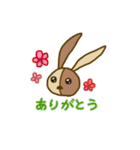 うさクルミ（個別スタンプ：4）
