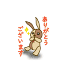 うさクルミ（個別スタンプ：5）