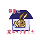 うさクルミ（個別スタンプ：14）