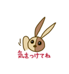 うさクルミ（個別スタンプ：17）