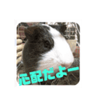 もるたん（個別スタンプ：2）