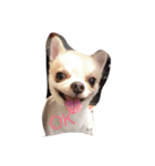 みんなあつまれ！（個別スタンプ：10）