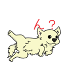 日常使い用 ちわ犬スタンプ（個別スタンプ：1）