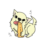 日常使い用 ちわ犬スタンプ（個別スタンプ：3）