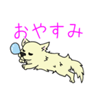 日常使い用 ちわ犬スタンプ（個別スタンプ：4）