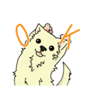 日常使い用 ちわ犬スタンプ（個別スタンプ：5）