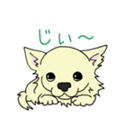 日常使い用 ちわ犬スタンプ（個別スタンプ：7）