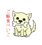 日常使い用 ちわ犬スタンプ（個別スタンプ：8）