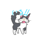 可愛いにゃんころとじゃがいも君（個別スタンプ：10）