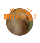 ブレるおこめ（個別スタンプ：2）