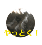 ブレるおこめ（個別スタンプ：10）
