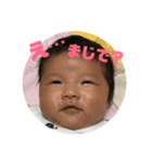 琥大郎です（個別スタンプ：1）