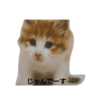 じゃんくん3（個別スタンプ：1）