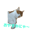 じゃんくん3（個別スタンプ：7）