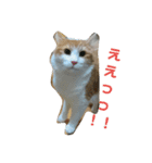 じゃんくん3（個別スタンプ：8）