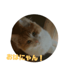 じゃんくん3（個別スタンプ：16）