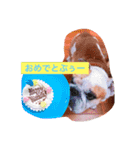 ライフ スタイル（個別スタンプ：3）
