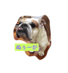 ライフ スタイル（個別スタンプ：4）
