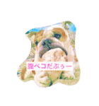 ライフ スタイル（個別スタンプ：6）