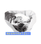 ライフ スタイル（個別スタンプ：8）